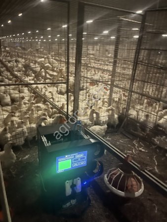 Автоматический вакцинатор