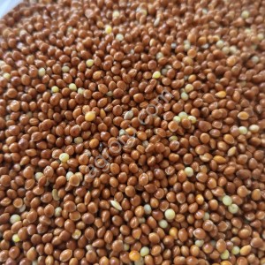 Просо кормовое красное и белое