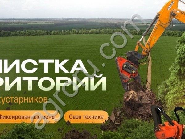 Расчистка участка от деревьев и кустарников