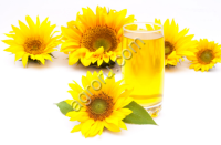 Масло подсолнечное наливом
