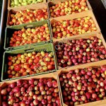 Яблоки опт первый сорт