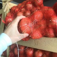 Лук репчатый свежий