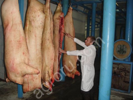 Мясо оптом из «солнечной Хакасии» от производителя.