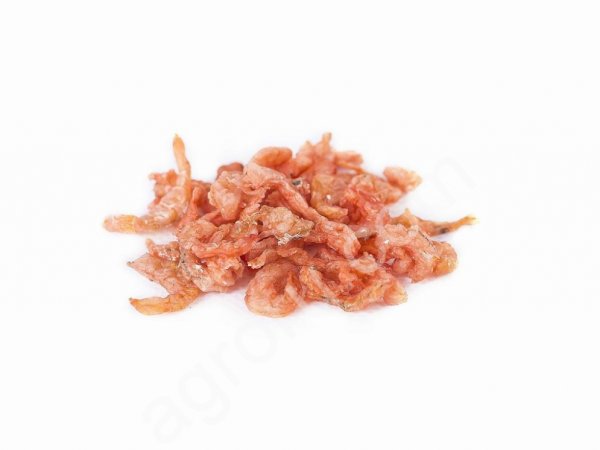 Рыба и морепродукты сушеные (креветка, мидии, кальмары)