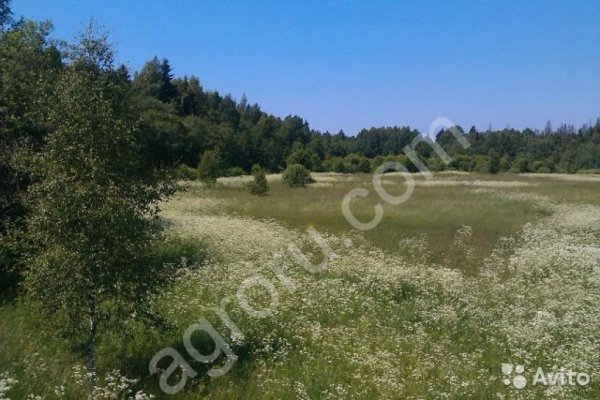 землю и сдаём в аренду