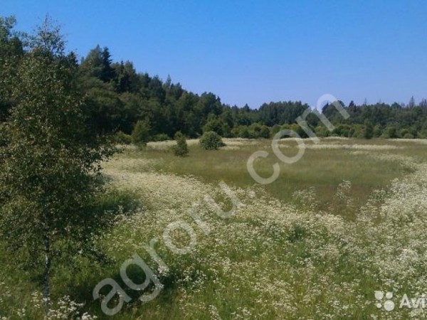 землю и сдаём в аренду