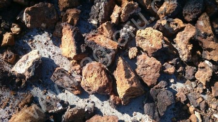 Березовый гриб Чага