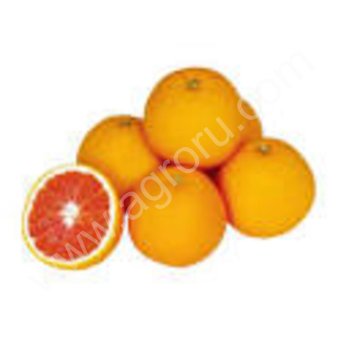 Апельсин