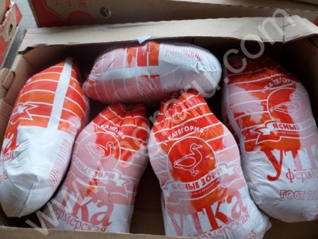 утка фермерская ясные зори