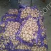 Картофель мытый шлифованный