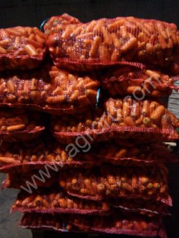 Морковь мытая