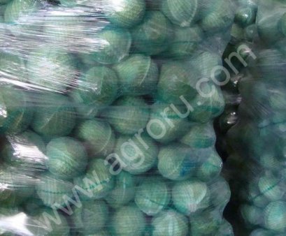 капусту оптом!