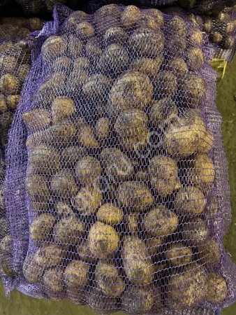 Картофель от производителя