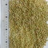 Чечевица зеленая