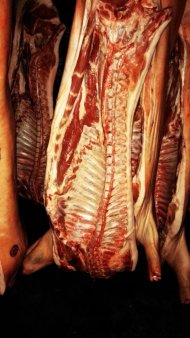 свинину в полутушах