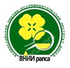 Амарант Липецкий <strong>семена</strong> с\элита