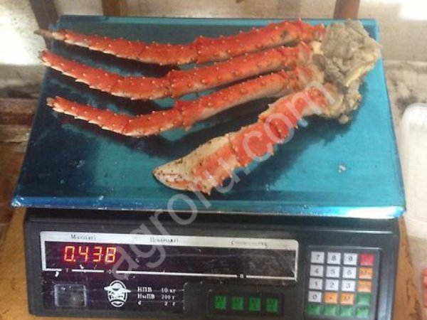 Икра. Краб.Креветка.