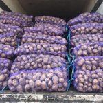 Продовольственный картофель от производителя
