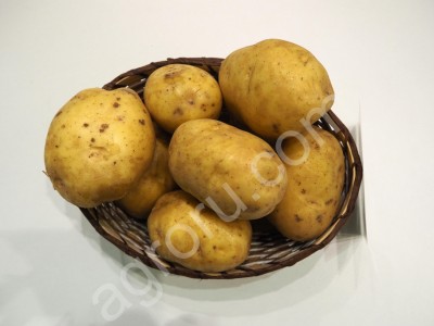 Семенной картофель Миа