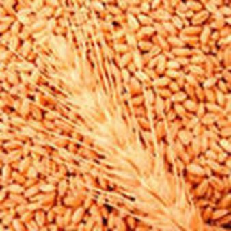 Ограничение компаний в установлении расценок на услуги по хранению зерна