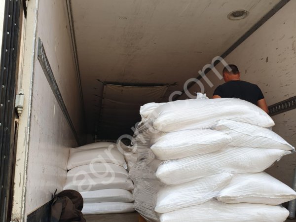 Сахар. Опт. Экспорт