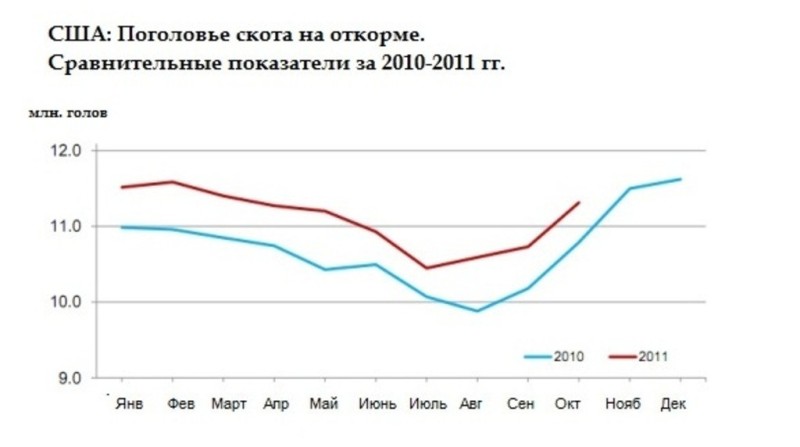 Поголовье скота на откорме в США выросло на 5 %