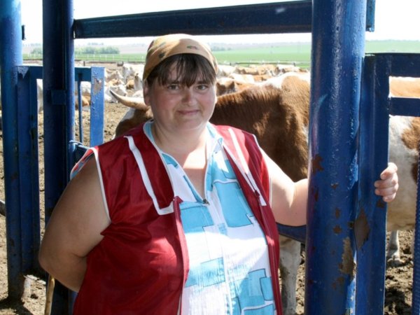 Состоятся республиканские конкурсы животноводов