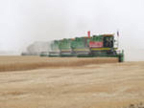 В России уже намолочено 4,6 млн. тонн зерна