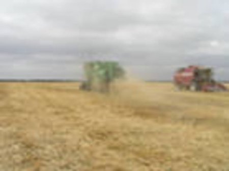 На полях Башкирии началась косовица зерновых и зернобобовых культур