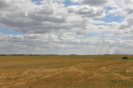 В Беларуси готовят новую программу мер по смягчению последствий изменения климата