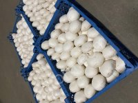 Шампиньоны высший сорт