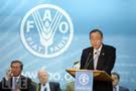 FAO собирается финансировать фермеров