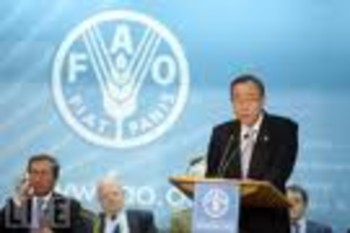 FAO собирается финансировать фермеров