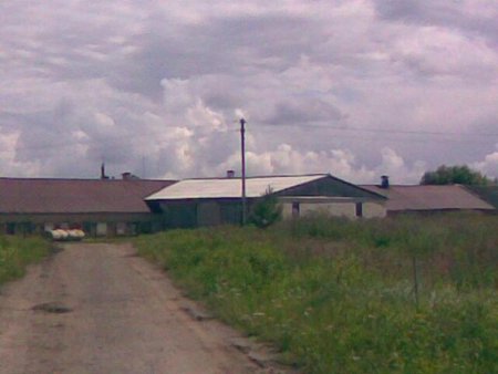 К нам  пришел иранский  бизнес