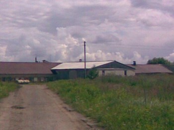 К нам  пришел иранский  бизнес