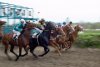 В Донской столице состоялись главные скачки страны