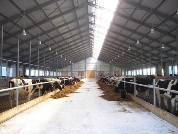 ОАО Кипринское - лидер Шелаболихинского района