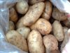 Выбор сорта картофеля