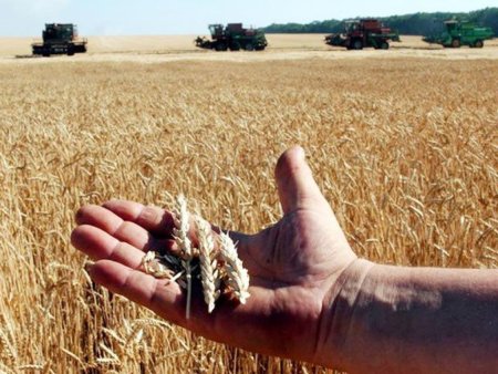 Протестующие фермеры назвали заседание в Минсельхозе  пустой тратой времени