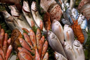 Предприятия рыбной отрасли Архангельской области и НАО увеличили в 2010 г оборот на 15,2 проц до 4,96 млрд руб