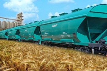 Укрзализныця увеличила перевозку зерновых на 15%