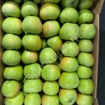 Яблоко Ренет Симиренко 1 сорт