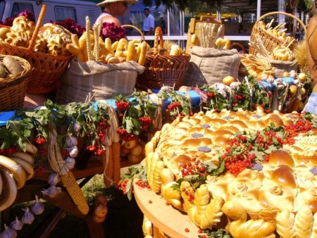 За январь-ноябрь 2010 года Россия увеличила импорт продовольственных товаров на 15,1%