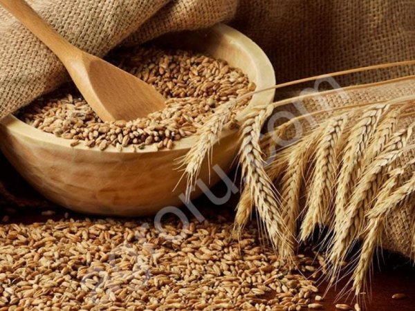 Пшеница ГОСТ 3 класс