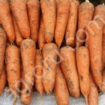 Мешок картофеля 30 кг