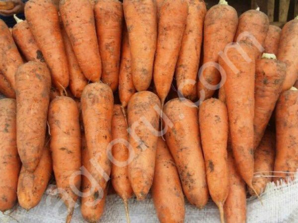 Мешок картофеля 30 кг