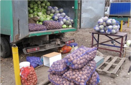 У тульских аграриев возникли проблемы со сбытом овощей