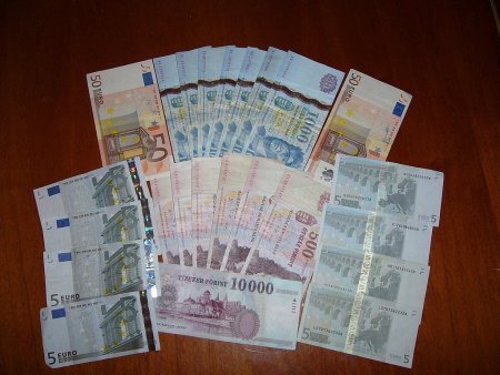 Инвесторы намерены вложить 3-5 млн евро в строительство теплиц