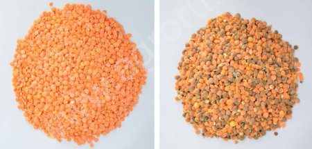 Фотосепаратор Б3