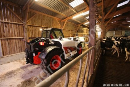 BOBCAT TL358 (Гарантия - 3 года или 3000 м/ч.)